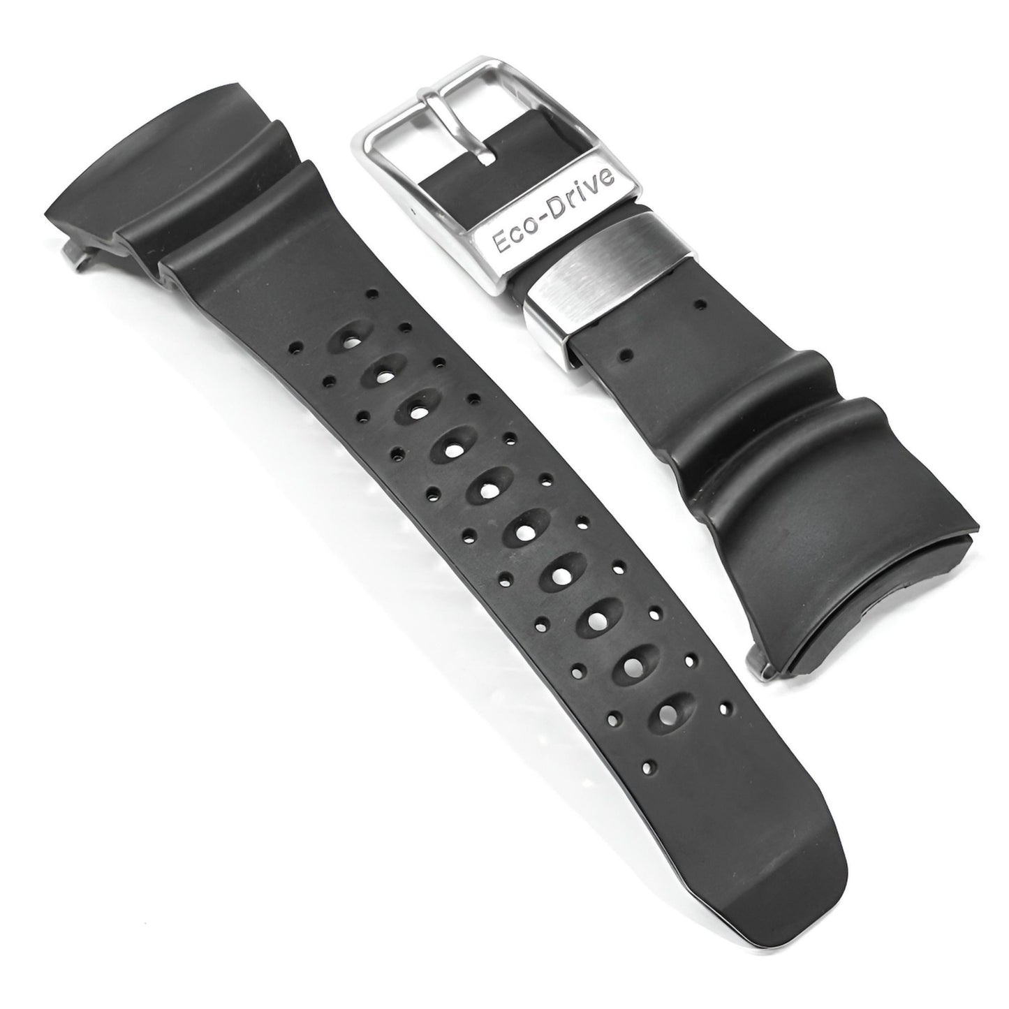 Citizen Ecozilla Band