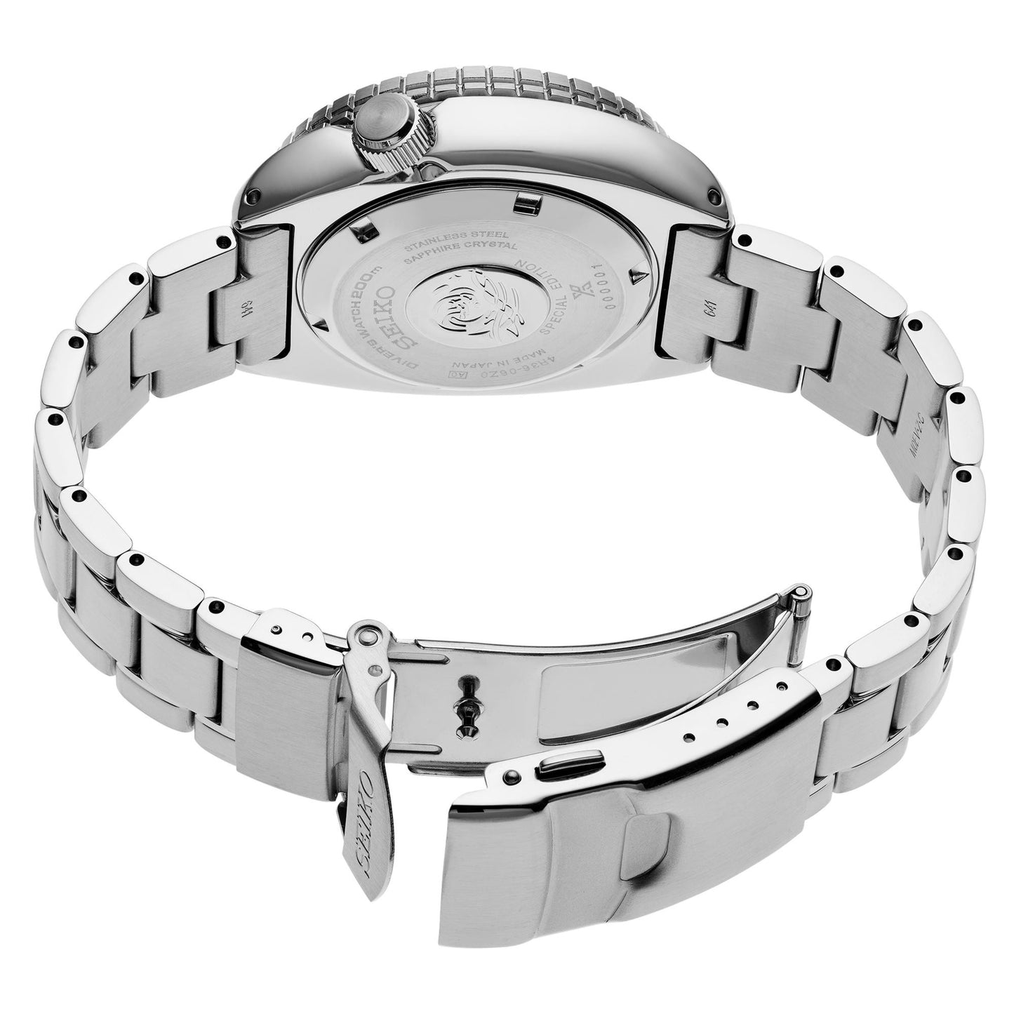 22mm Turtle Bracelet