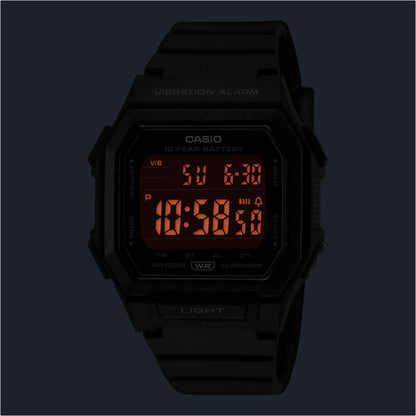 W-738H-1B