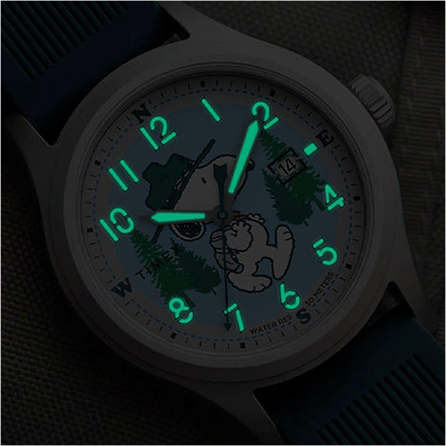 TW2Y84800