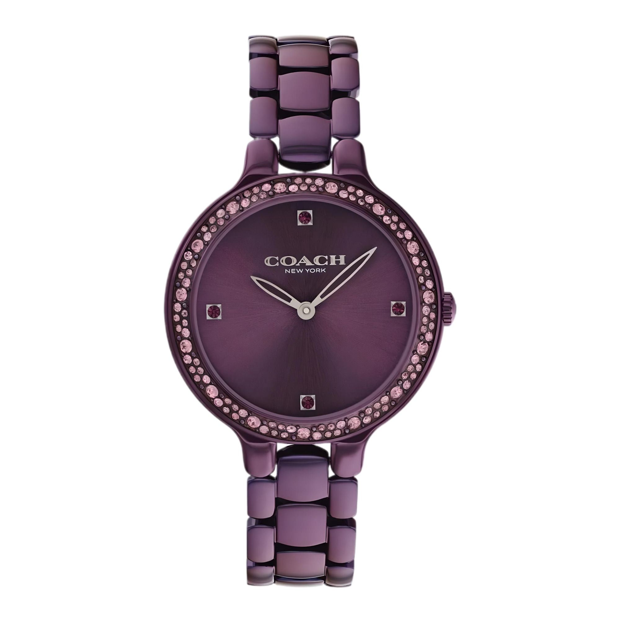14504253 Coach x Analog ft. Chelsea Women Casual Formal Round 30m Water ...