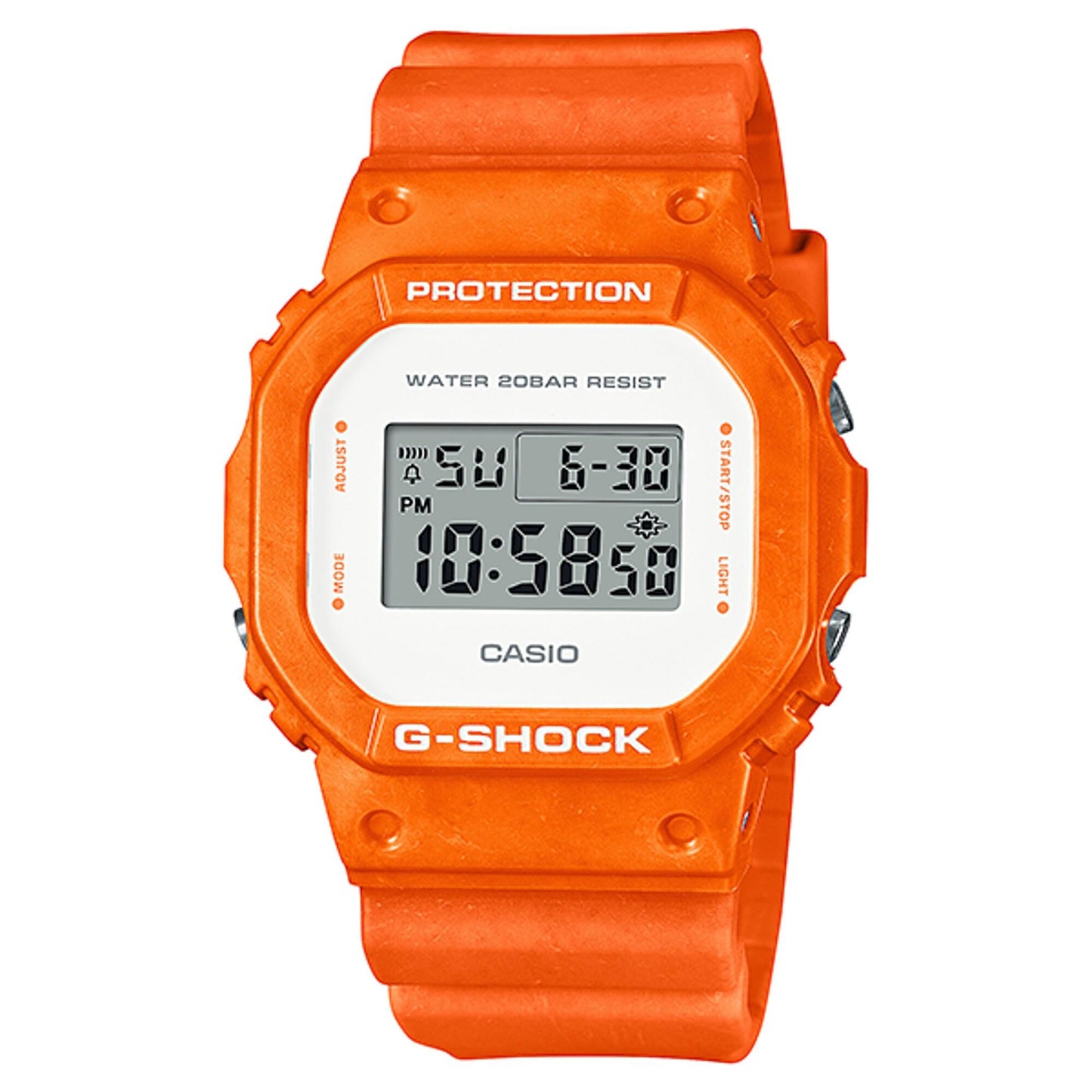 DW-5600WS-4D [O]