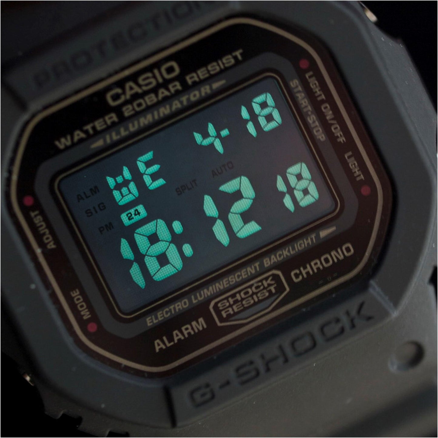 [D] DW-5600MS-1D