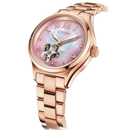 PC1017-70Y (LE)