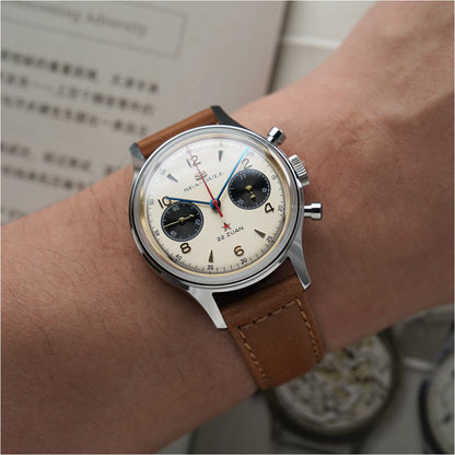 1963 Panda