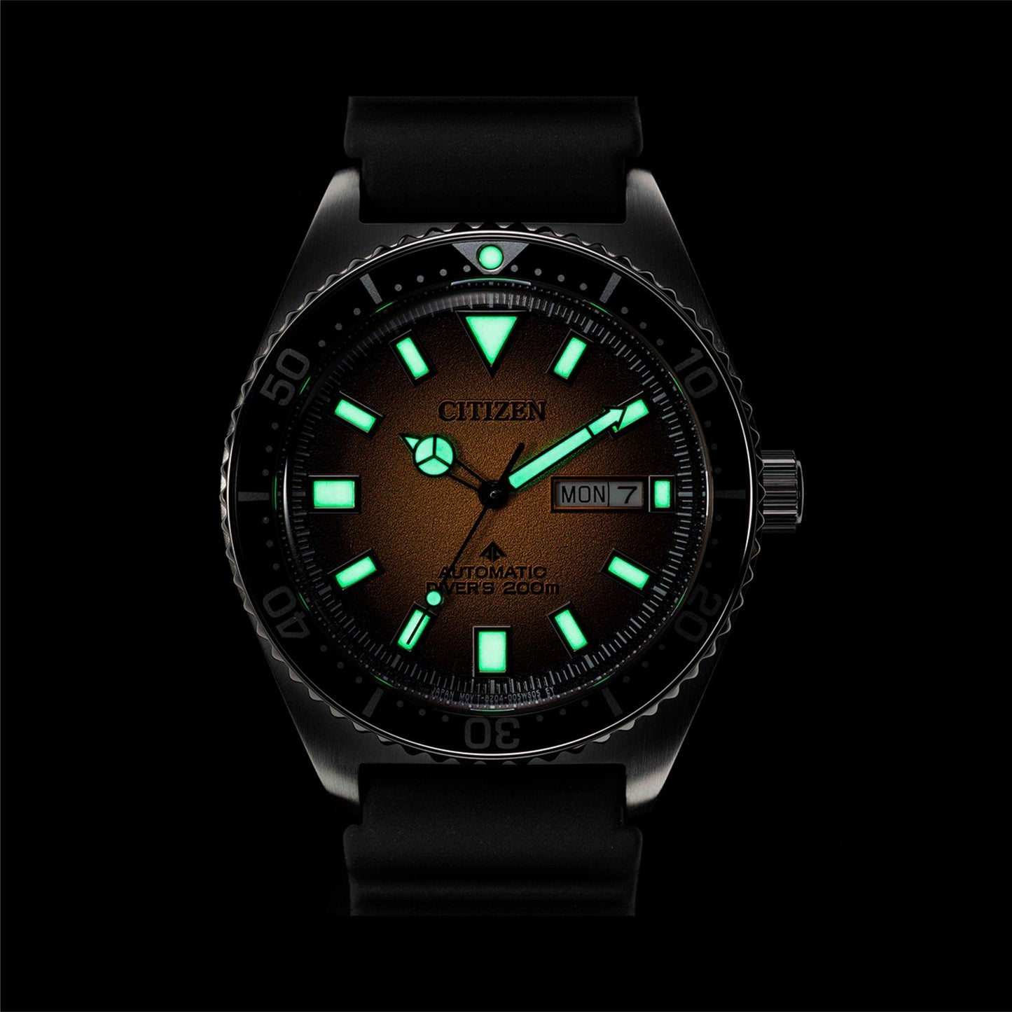 NY0120-01X [O]