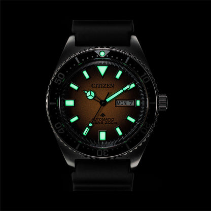 NY0120-01X [O]