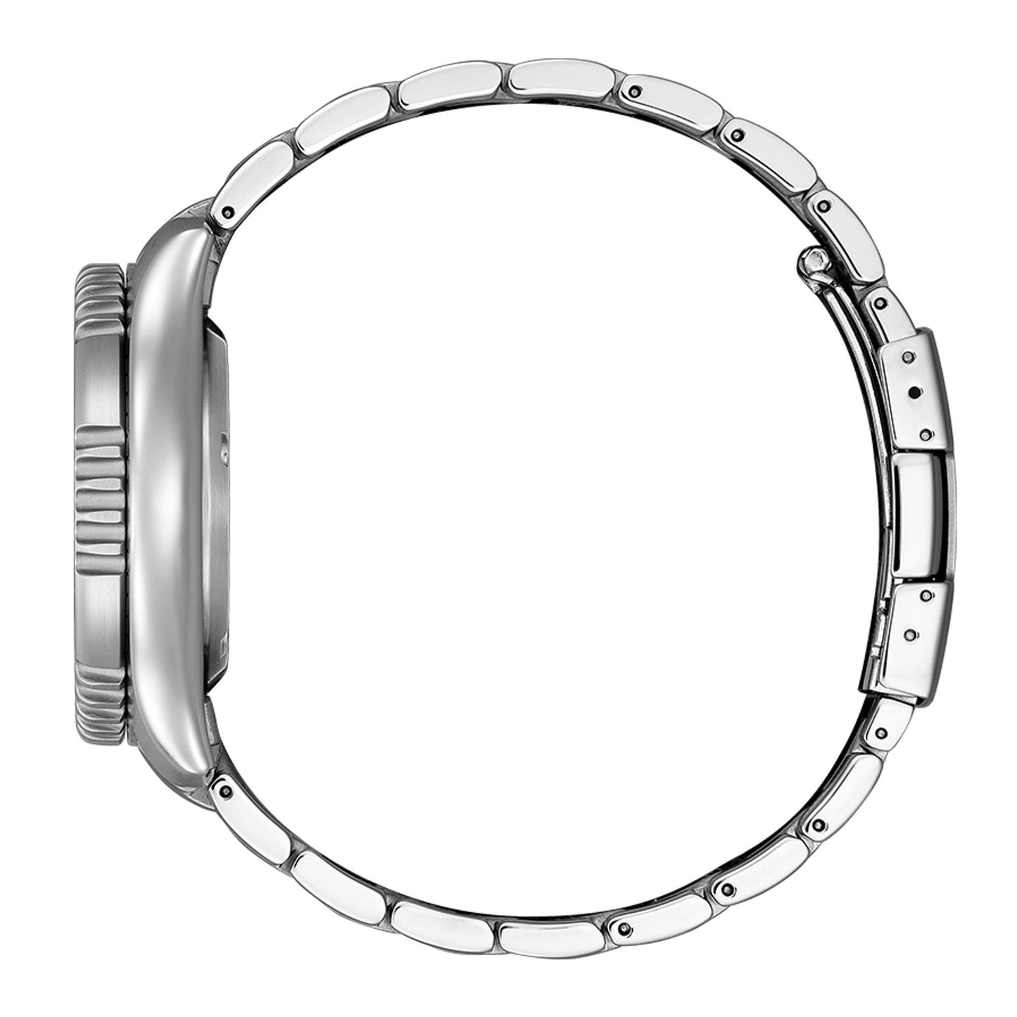 NY0168-64A (LE) [O]