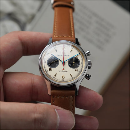 1963 Panda