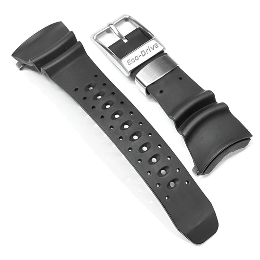 Citizen Ecozilla Band