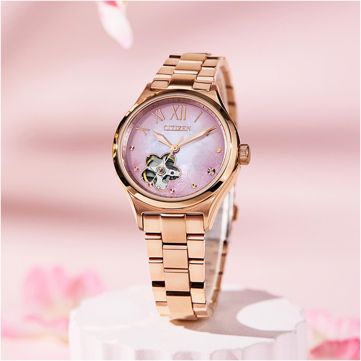 PC1017-70Y (LE)