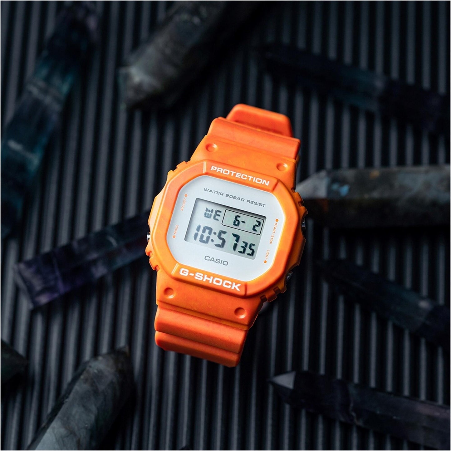 DW-5600WS-4D [O]