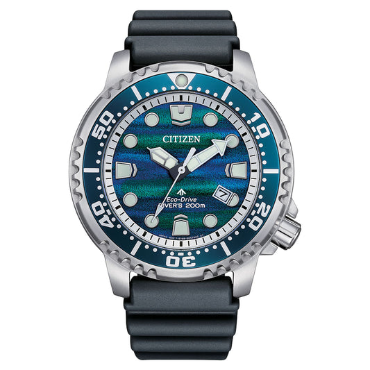 BN0167-09W (LE)